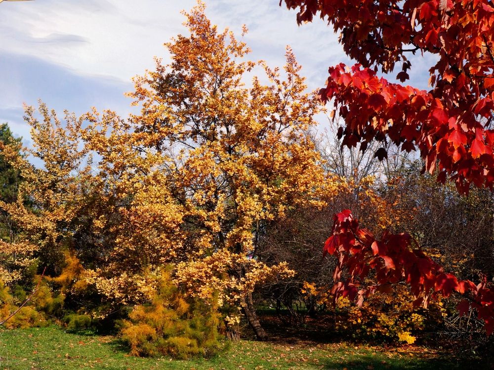 Фотография автора Андрей Павловский