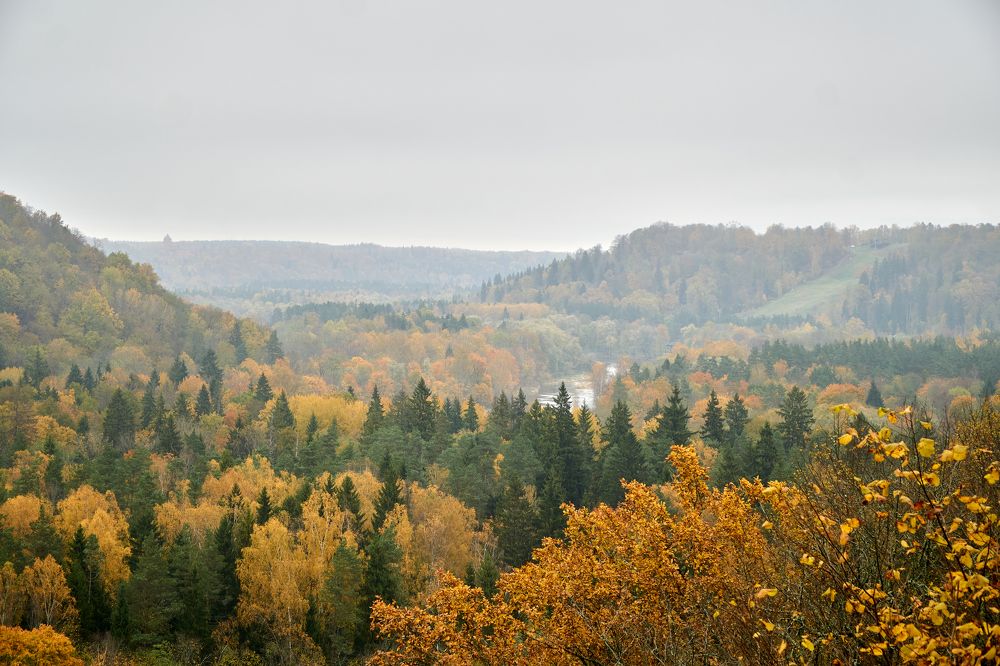 Фотография автора Igors Selivanovs