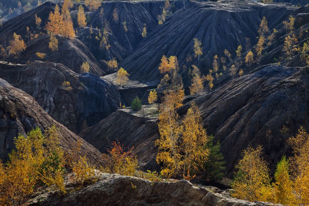 Фотография автора Dmitry Finkel