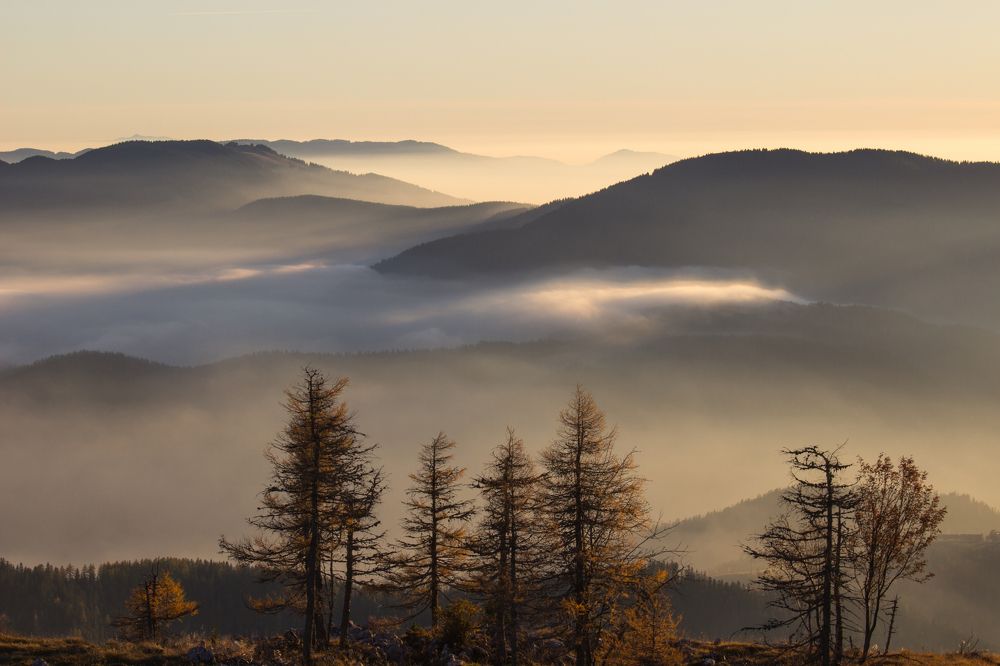 Photograph by Nada Trivunovic