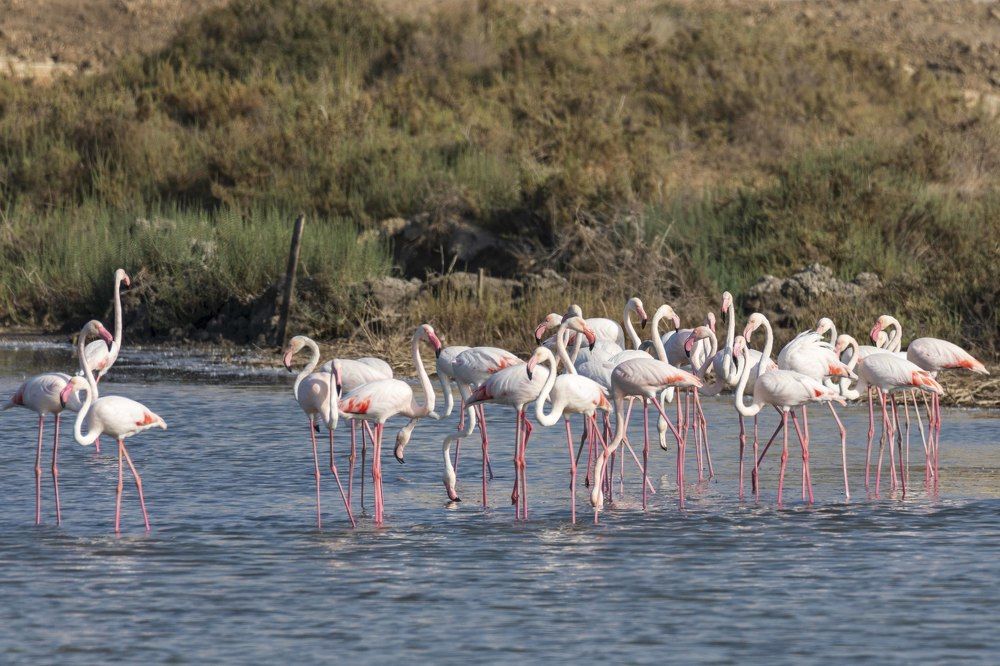 Photograph by klara Neikov