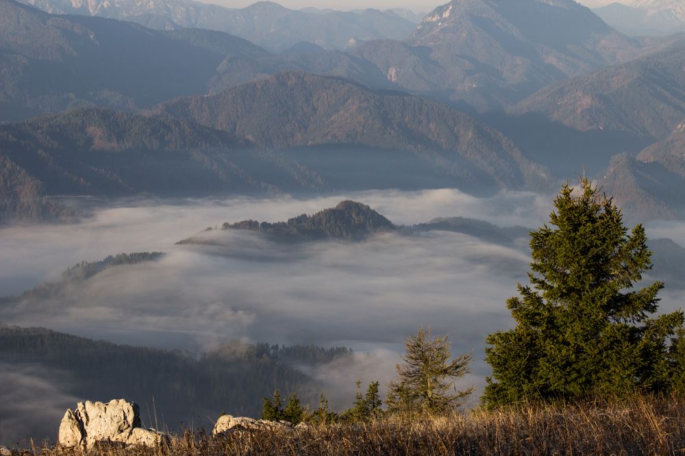 Photograph by Nada Trivunovic