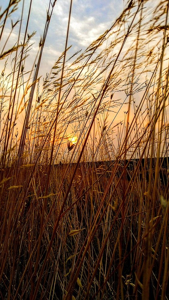 Фотография автора Svetlana Tsvetanova