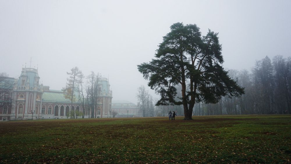 Фотография автора Slim Soyadi