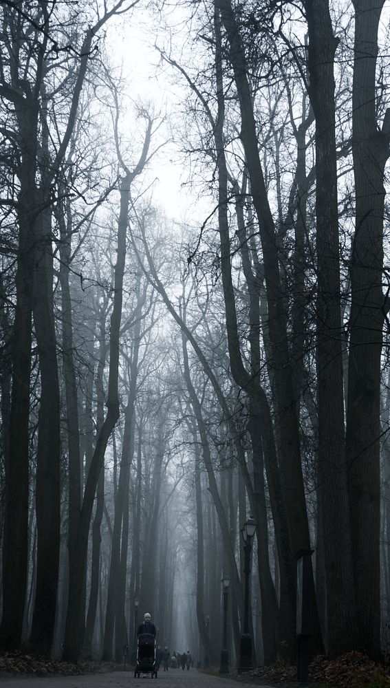 Фотография автора Slim Soyadi