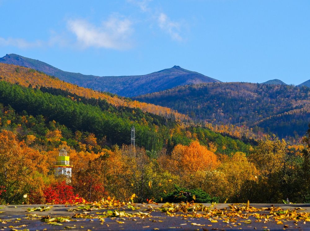 Фотография автора Olena Vorotyntseva