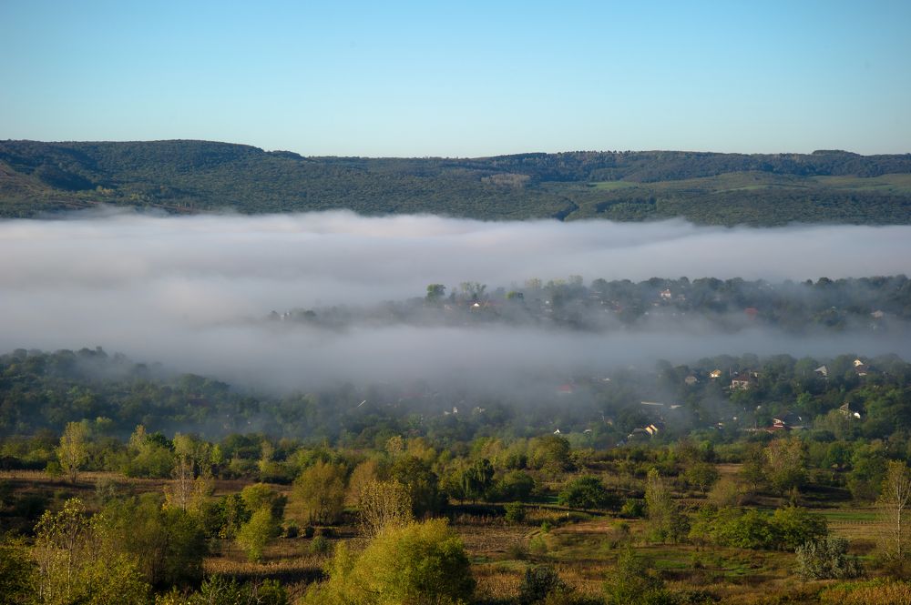 Photograph by Dumitru Bors