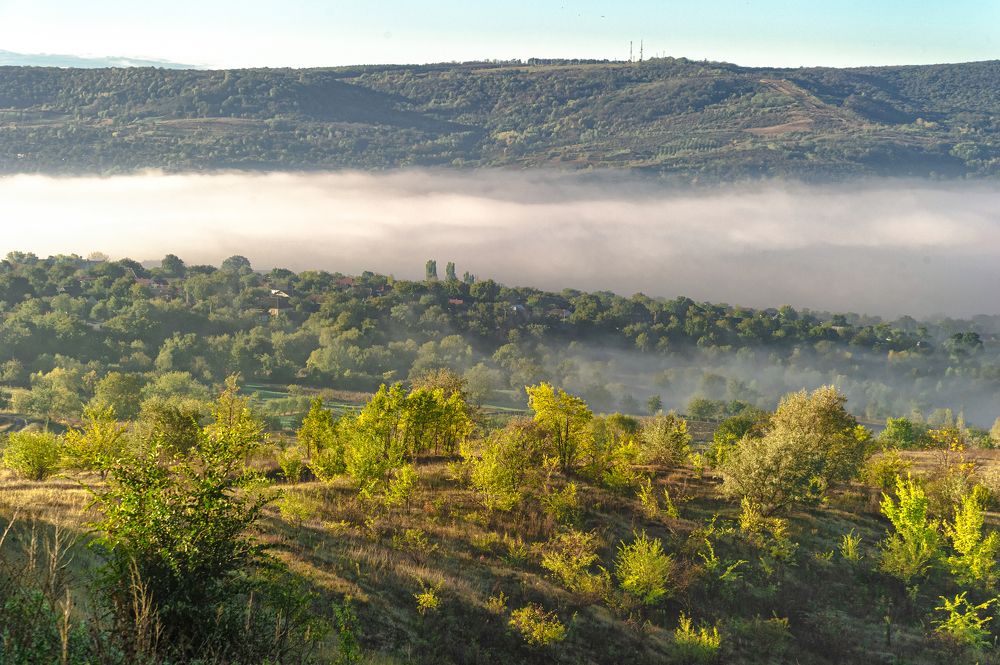 Photograph by Dumitru Bors