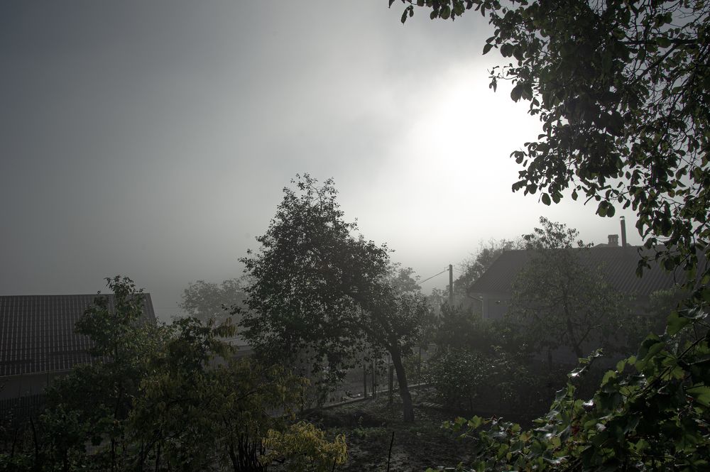 Photograph by Dumitru Bors