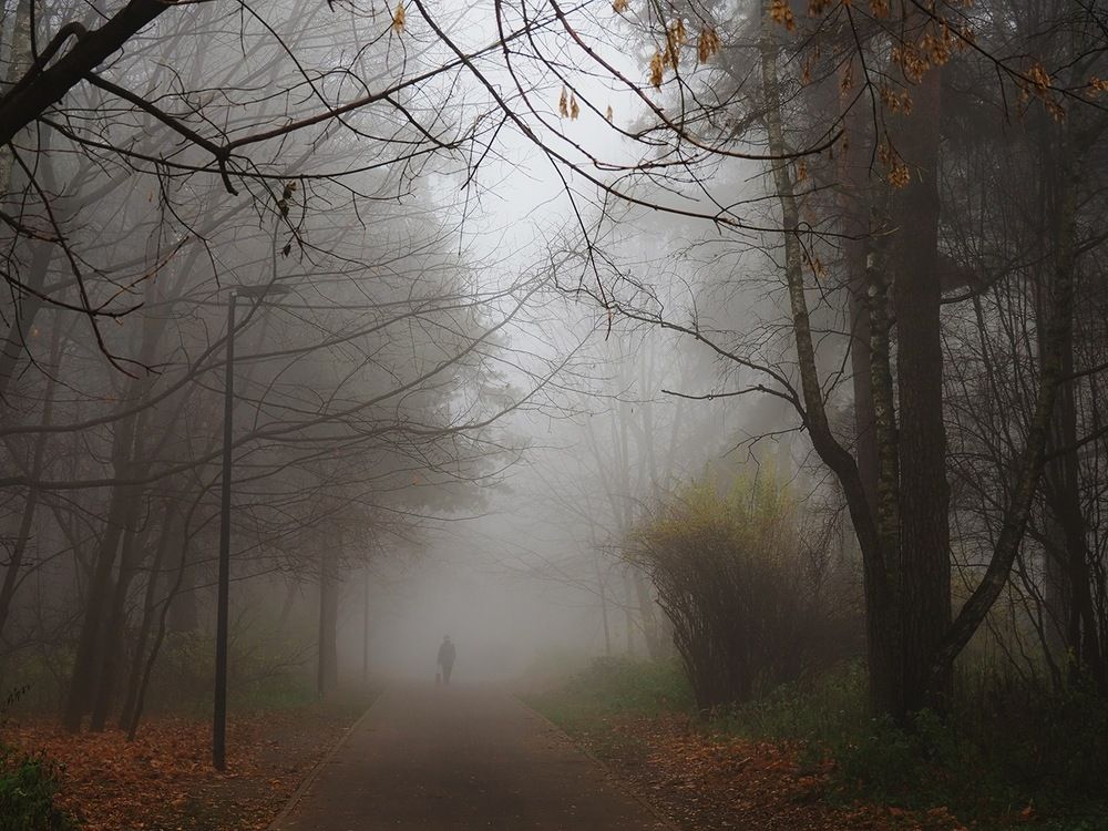 парк Кузьминки