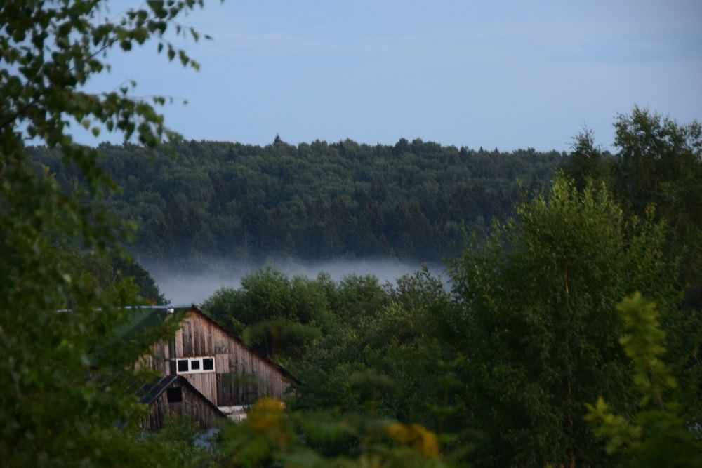 Photograph by Galina Leskova