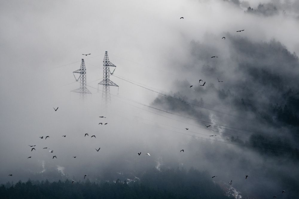 Photograph by Радослав Сотиров