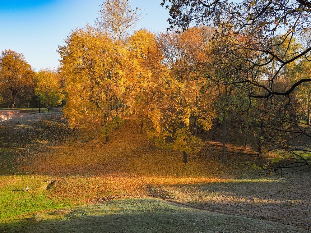 усадьба Царицыно