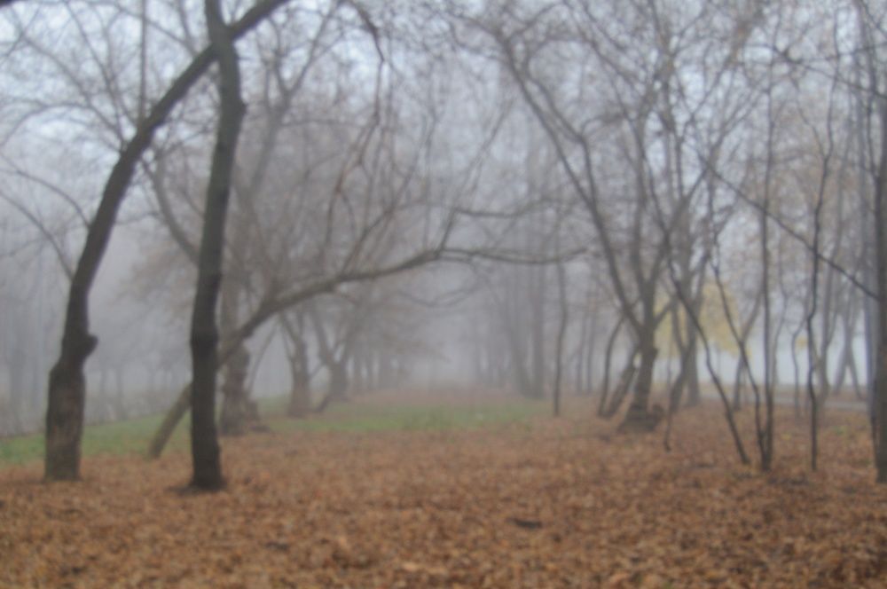 Photograph by Natalia Perova