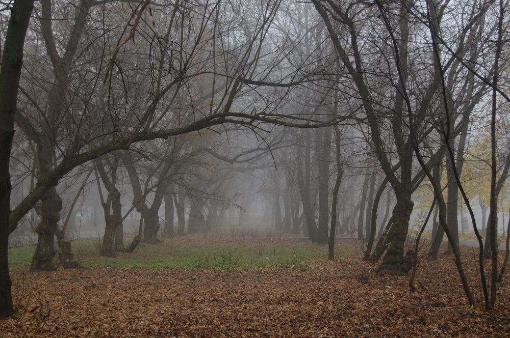 Photograph by Natalia Perova