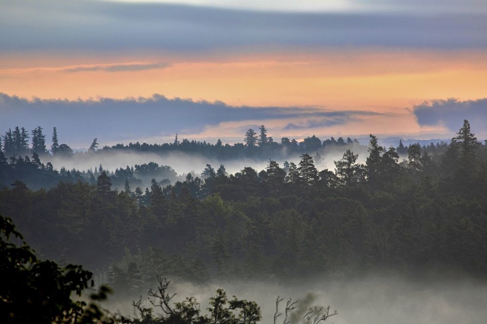 Photograph by Lukas Larys