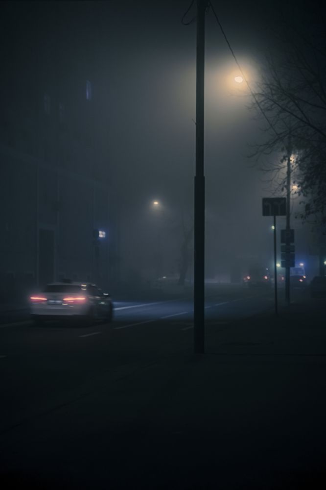 Photograph by Тимофей Белокопытов