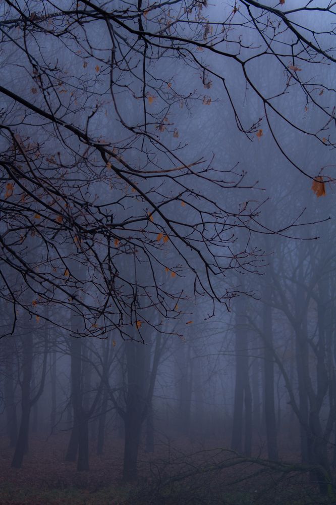 Фотография автора Татьяна Хуссейн