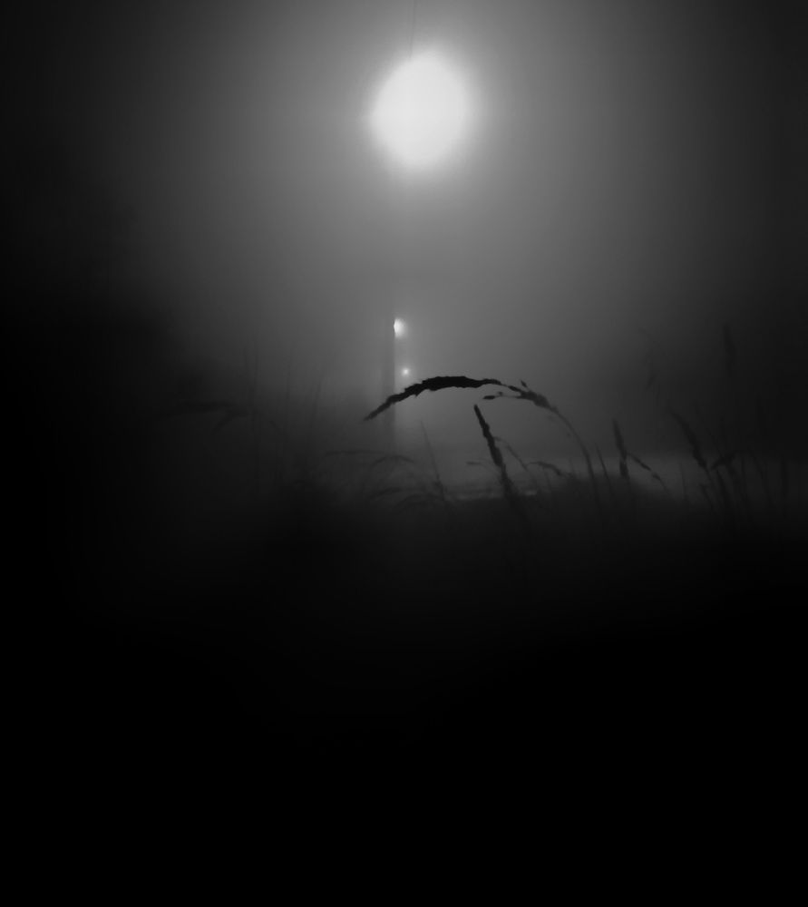 Photograph by Даниил Пузаков