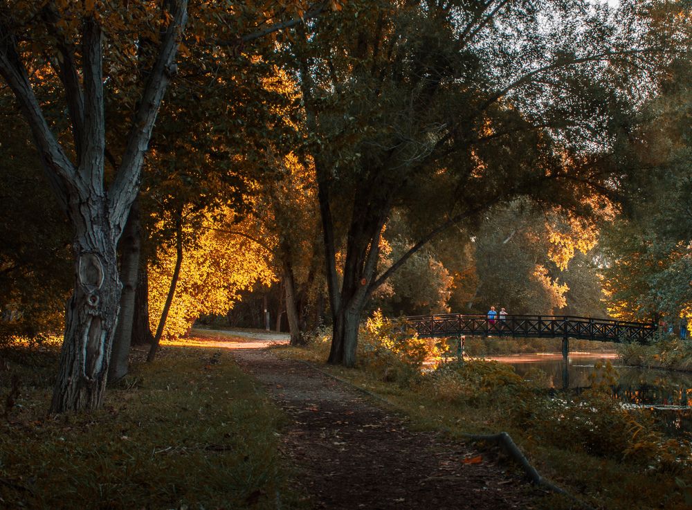 Фотография автора Amir H. Bakhtiari