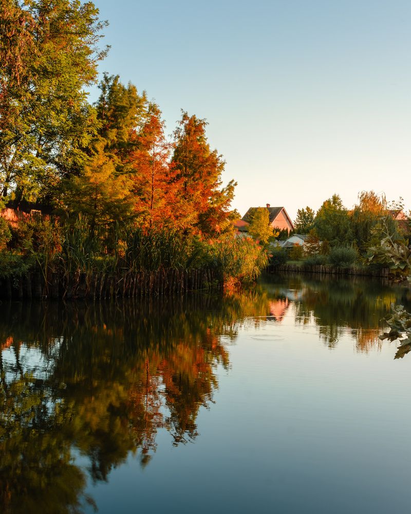 Фотография автора Amir H. Bakhtiari