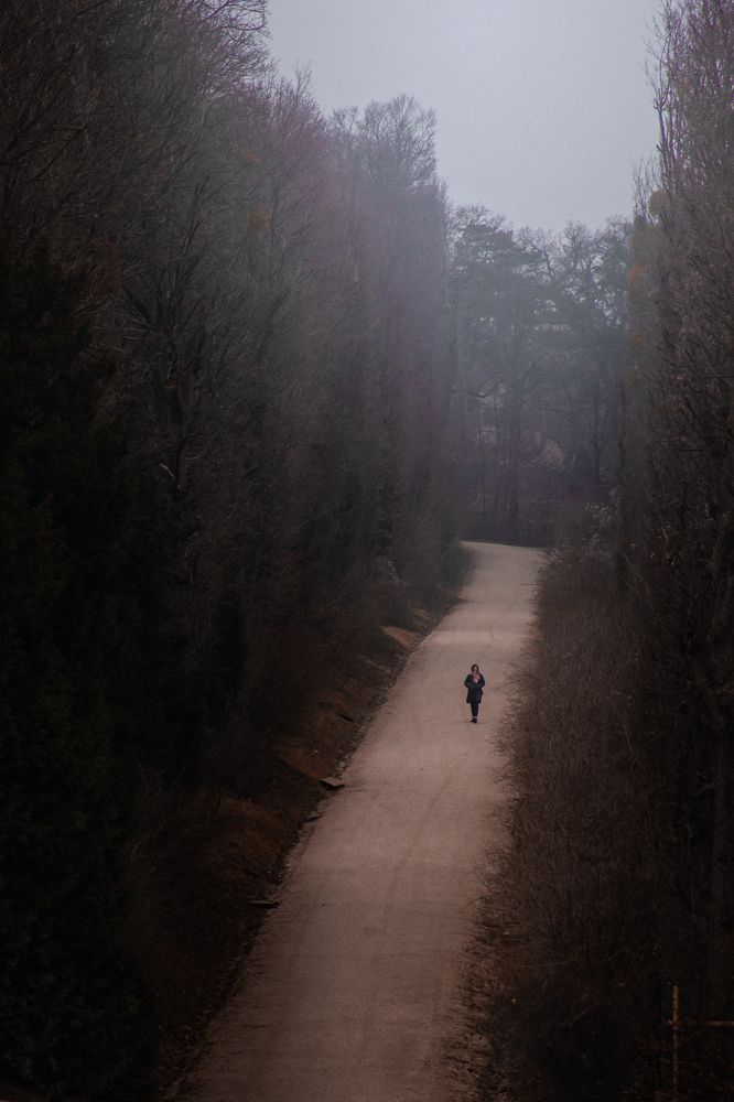 Фотография автора Amir H. Bakhtiari