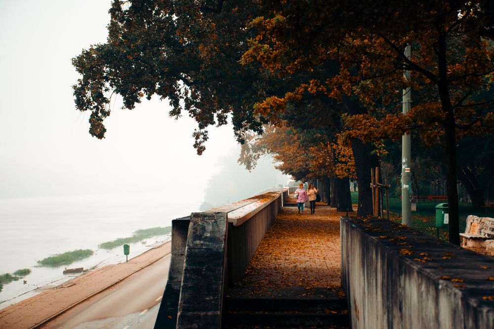 Фотография автора Amir H. Bakhtiari