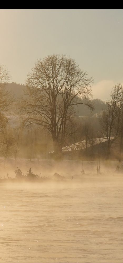 Photograph by Reinhold Seibel