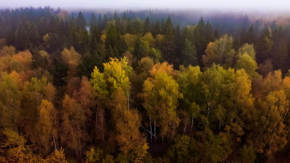 Photograph by Кононенко Владимир