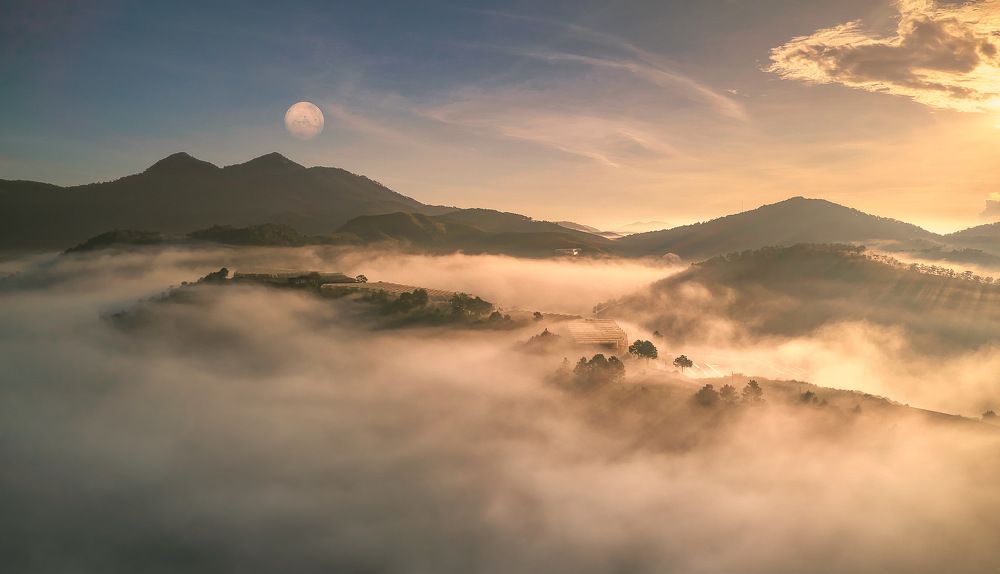 Photograph by Nhat Quang Bui