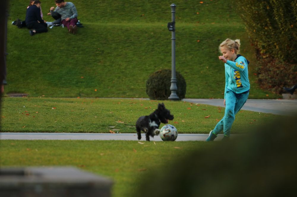 Photograph by Maria Golovach