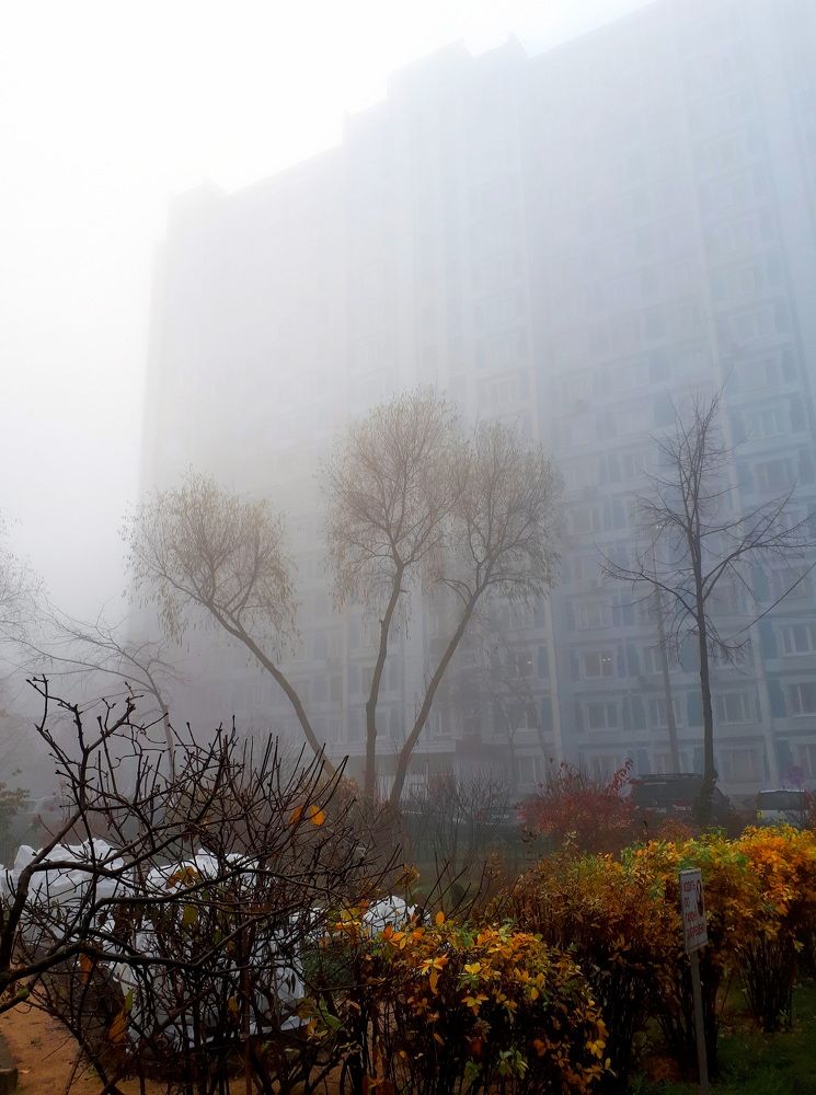 Photograph by Евгений Жиляев