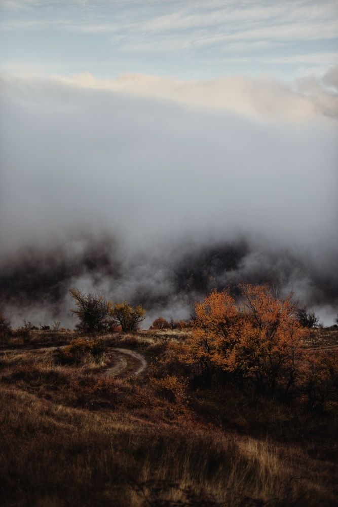 Фотография автора Gergana Tileva