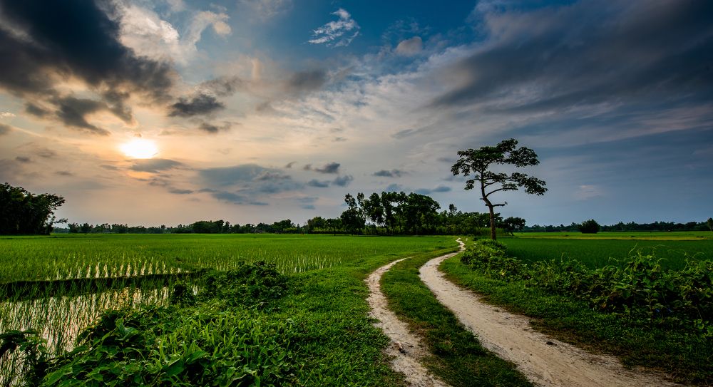 Фотография автора Utathya Roy