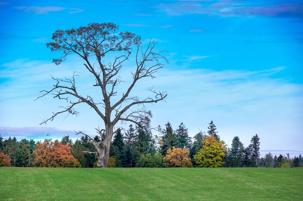 Photograph by Reinhold Seibel