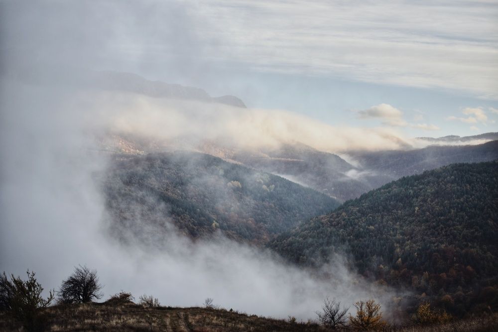 Фотография автора Gergana Tileva