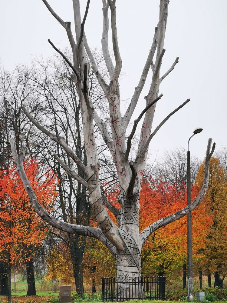 Фотография автора Дмитрий Лебедь