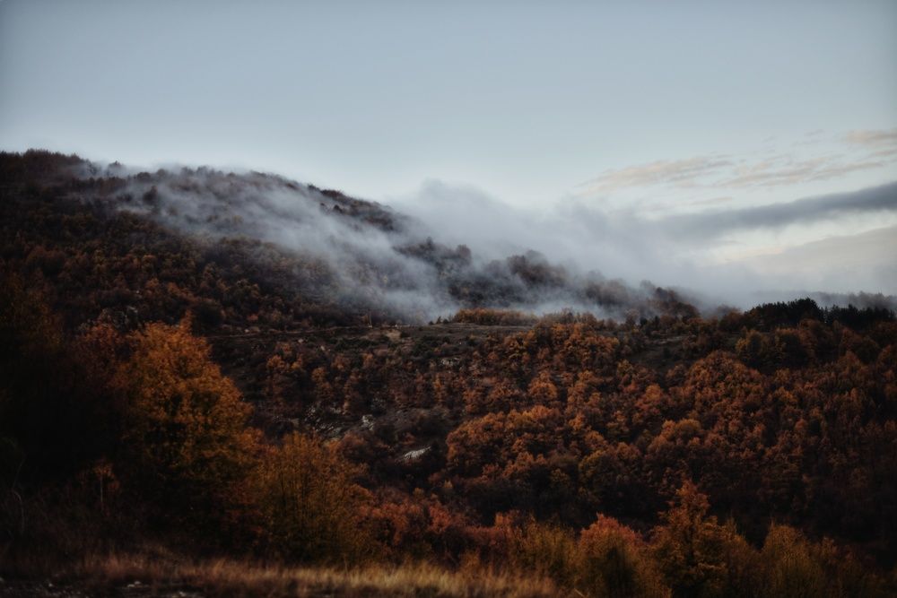 Фотография автора Gergana Tileva