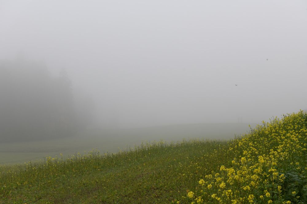 Photograph by Schewzow Lana