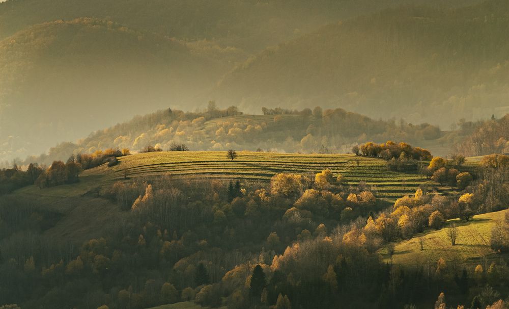 Фотография автора Matej Kotula