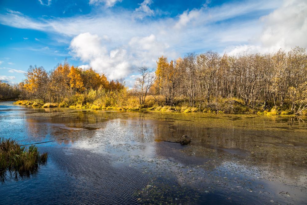 Photograph by Алексей Шматков