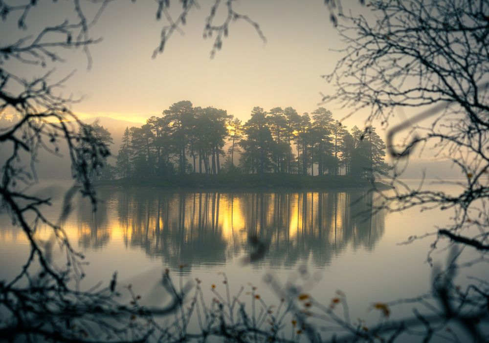 Photograph by Adrian Szatewicz