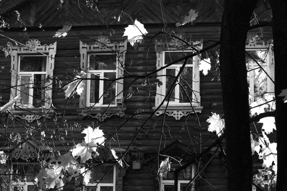 Photo #6678867