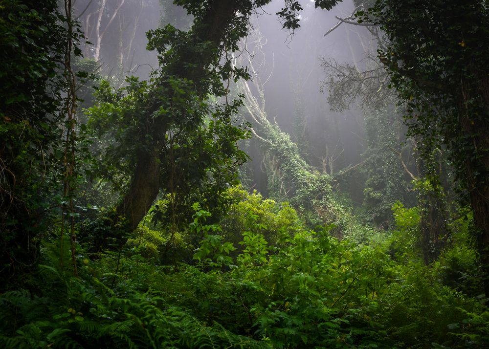 Photograph by Nuno Alexandre Candido