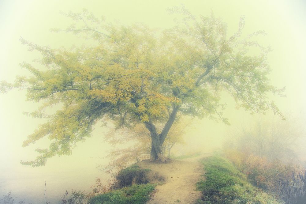 Photograph by Александр Замятин