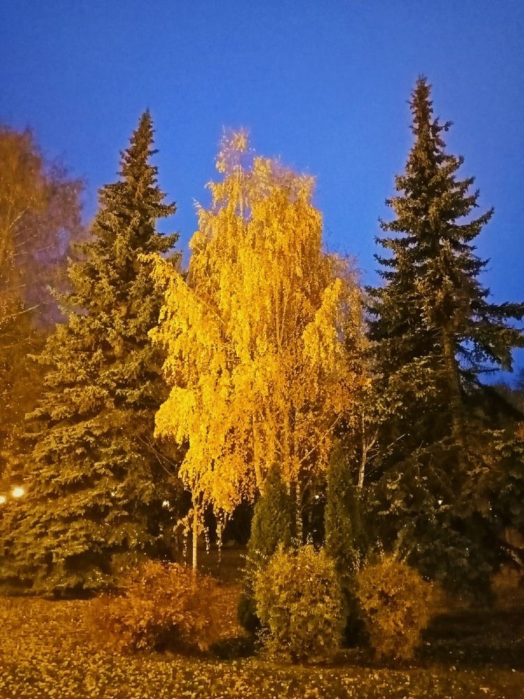 Photograph by Ильдус Сагитов
