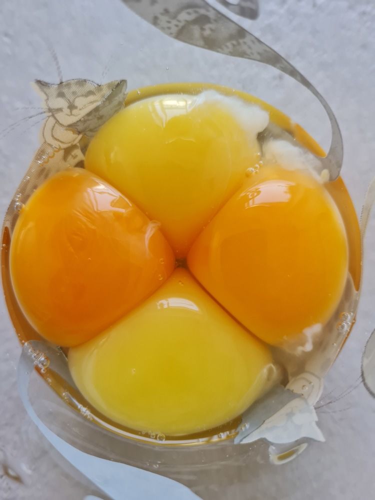 Photograph by Tatiana Denisova