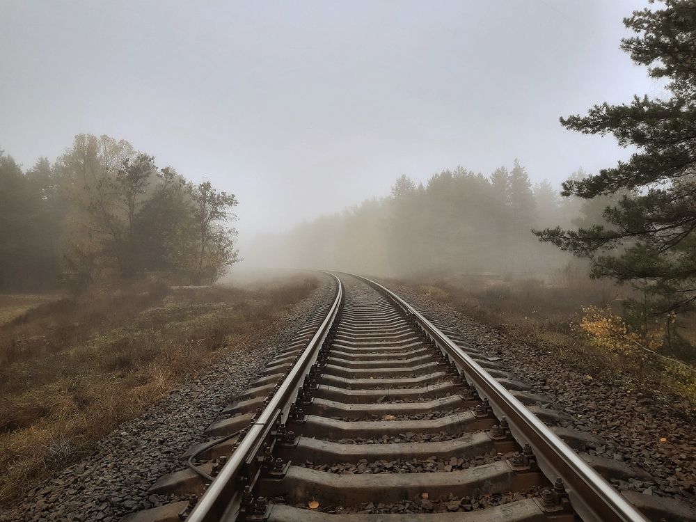 Photograph by Сергей Колос