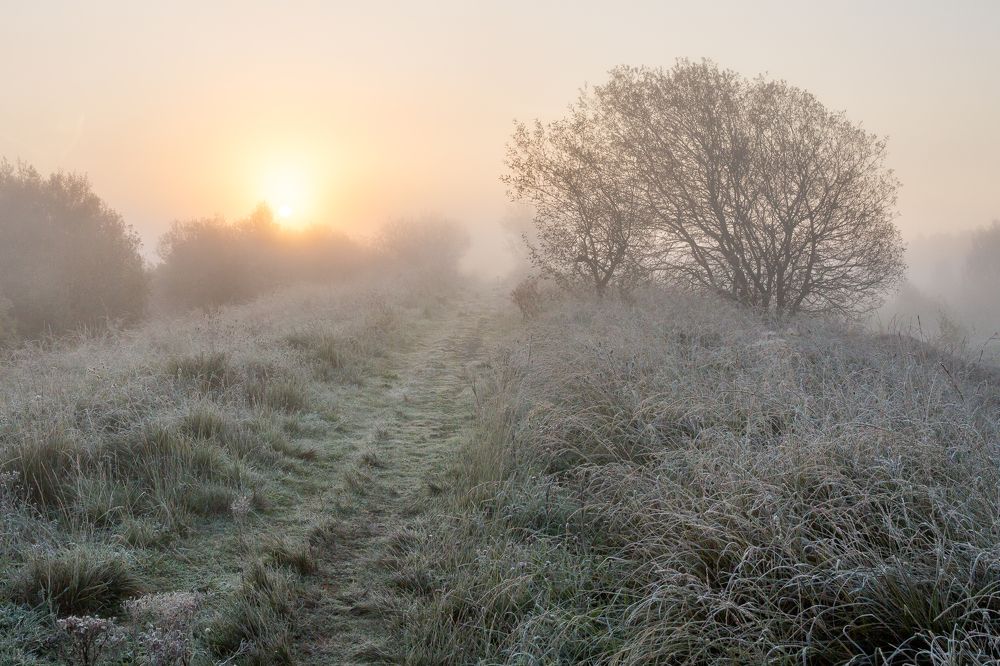 Photograph by Anatoly Chomko
