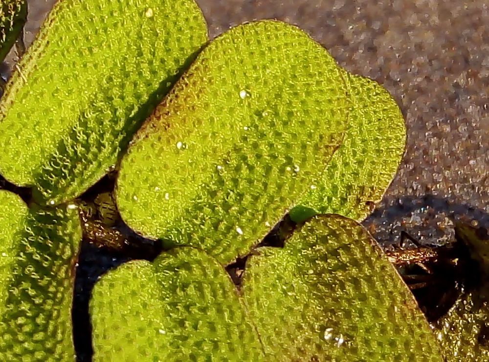 Photograph by Наталия Глущенко